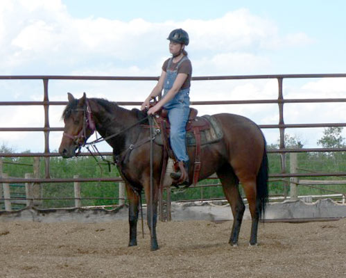 GW Candid Queen - 2005 Appendix Filly (70 KB)