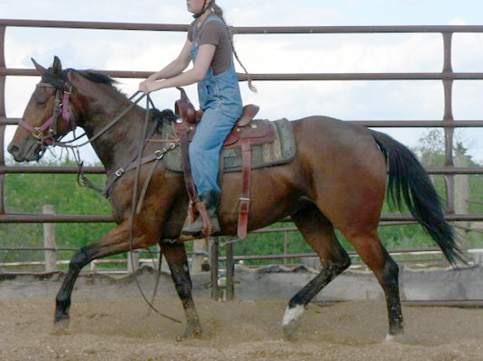 GW Candid Queen - 2005 Appendix Filly (70 KB)